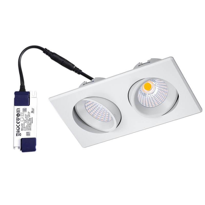 downlight two heads-DL-09-ND-15W