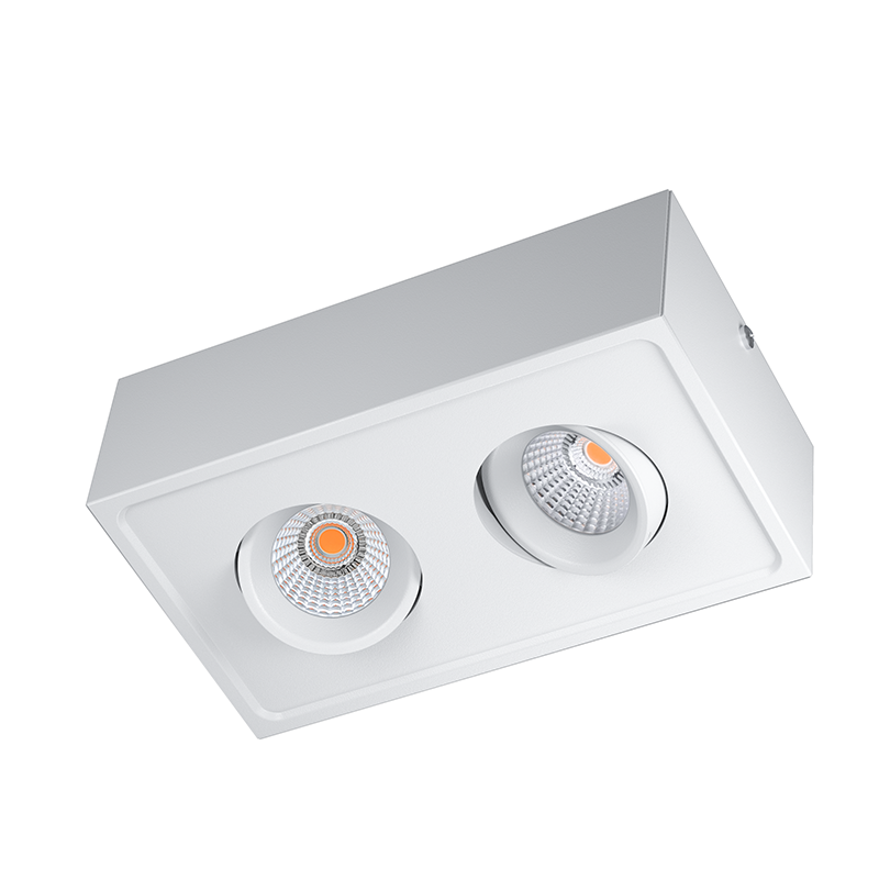 Surface Mounted Downlight dimmable two heads-DL-11-D-15W
