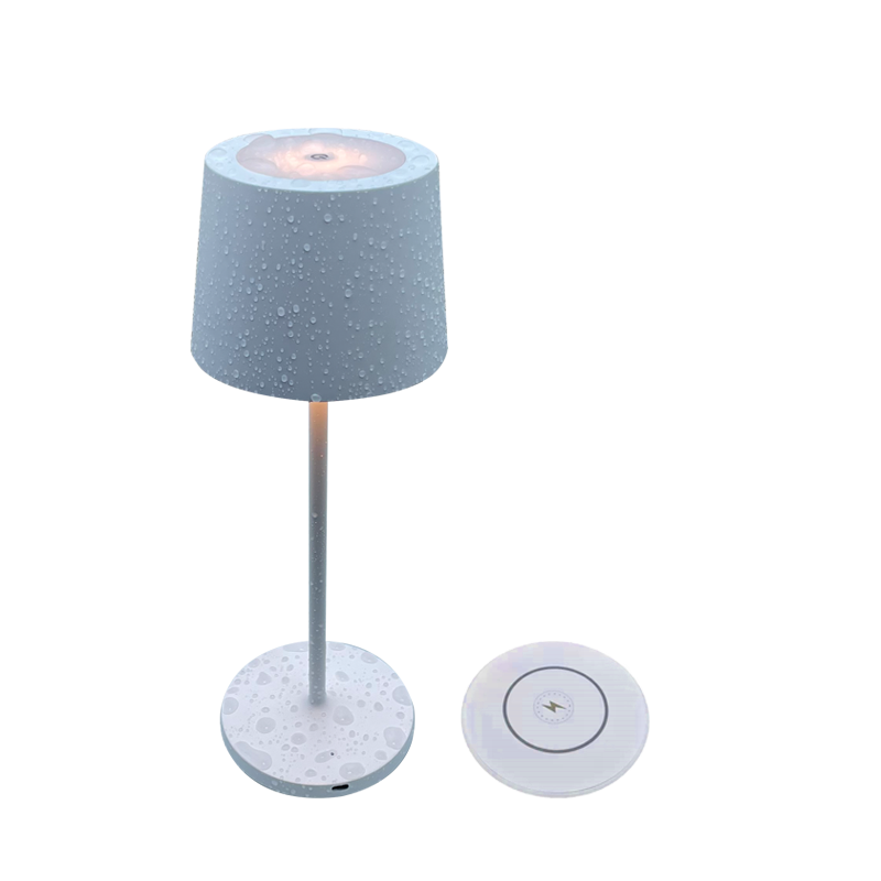 outdoor table lamp battery operated-TL-02 Pro Mini